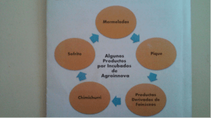 En la foto, algunos de los productos que son producidos en Agroinnova y que esperan algún día puedan ser exportados.