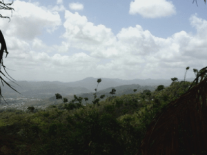 Vista de los grandes terrenos que antes eran cosechados, y hoy día están industrializados.