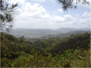 Al fondo en la foto, se muestra el Valle del Turabo Foto por: Desireé Flores