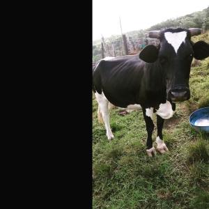 11953544_10152981008131993_3985545712348737973_o