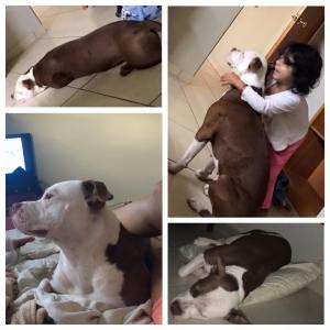 12299277_10153117738686993_6226622045600775584_n